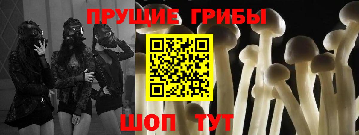 Новошахтинск  Галлюциногенные грибы ЛСД  Вход с VPN 